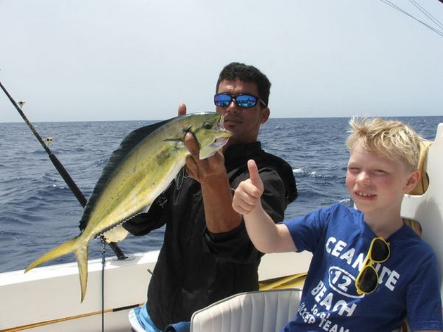 Dorado Cavalier & Blue Marlin Sport Fishing Gran Canaria