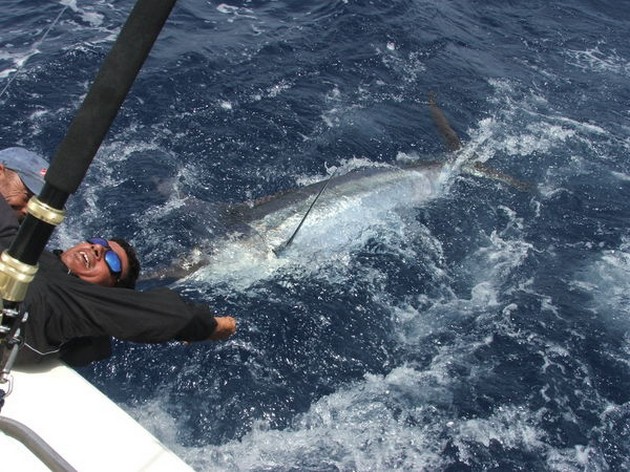 Release Me Cavalier & Blue Marlin Sport Fishing Gran Canaria