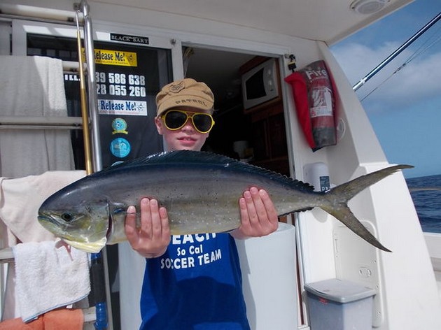 Dorado Cavalier & Blue Marlin Sport Fishing Gran Canaria