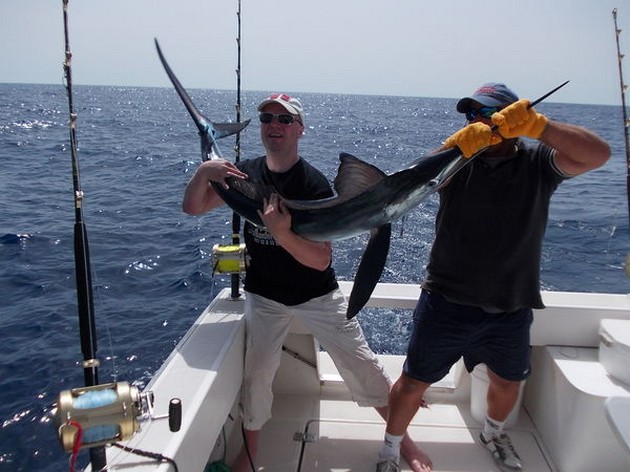 White Marlin Cavalier & Blue Marlin Sport Fishing Gran Canaria