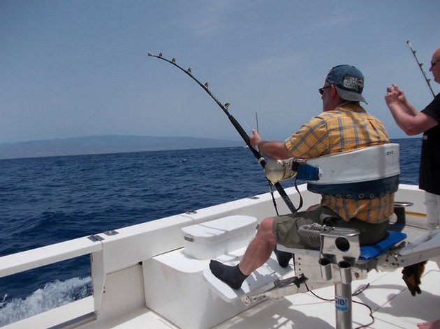 Hooked up Cavalier & Blue Marlin Sport Fishing Gran Canaria
