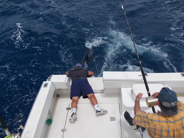 Blue Marlin Cavalier & Blue Marlin Sport Fishing Gran Canaria