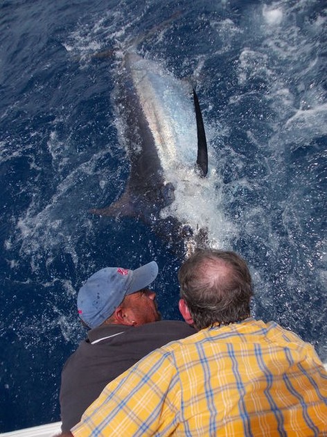 Release Me Cavalier & Blue Marlin Sport Fishing Gran Canaria
