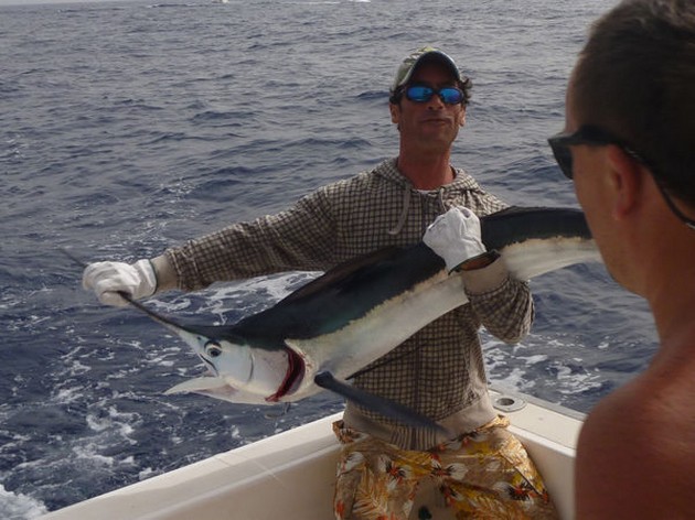 Spearfish Cavalier & Blue Marlin Sport Fishing Gran Canaria