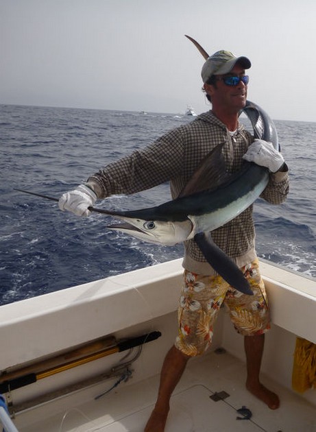 Spearfish Cavalier & Blue Marlin Sport Fishing Gran Canaria