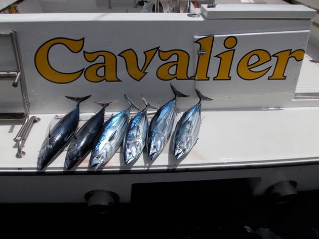 skipjacks Cavalier & Blue Marlin Sport Fishing Gran Canaria