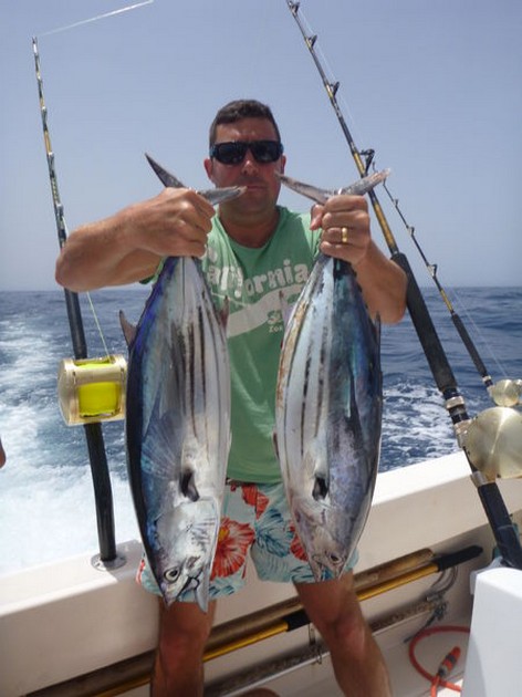 Skipjack Tuna's Cavalier & Blue Marlin Sport Fishing Gran Canaria