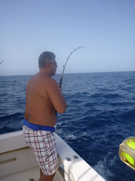 Hooked up Cavalier & Blue Marlin Sport Fishing Gran Canaria