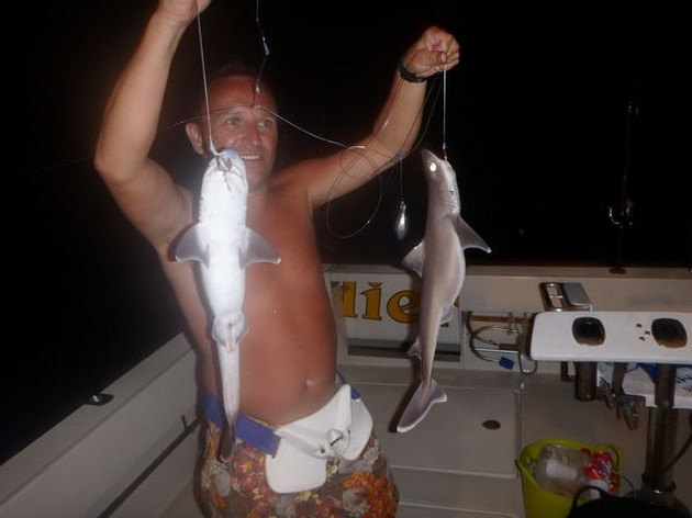 night fishing Cavalier & Blue Marlin Sport Fishing Gran Canaria