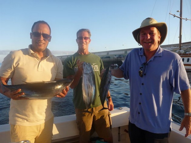 Skipjack Tuna's Cavalier & Blue Marlin Sport Fishing Gran Canaria