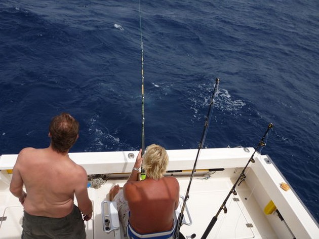 Marlijn en Speervis Cavalier & Blue Marlin Sport Fishing Gran Canaria