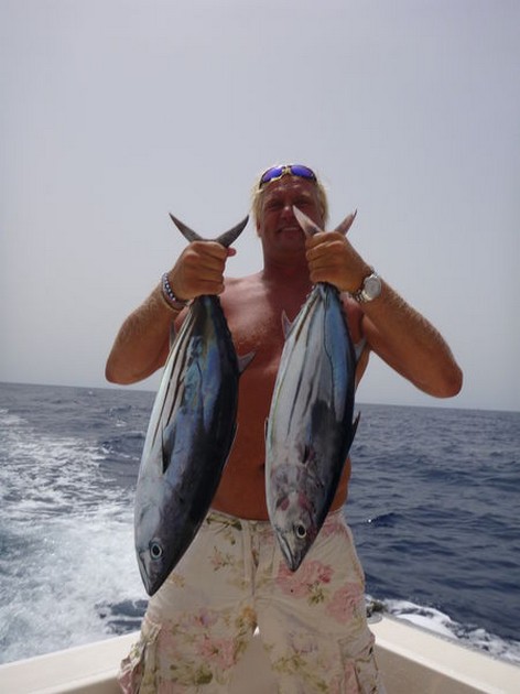 Skipjack Tuna's Cavalier & Blue Marlin Sport Fishing Gran Canaria