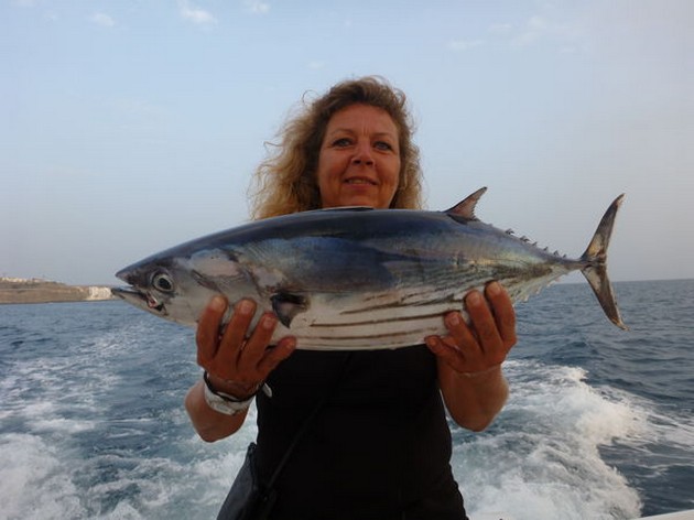 Skipjack Tuna Cavalier & Blue Marlin Sport Fishing Gran Canaria