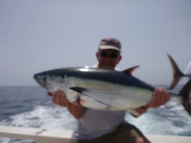 Albacore Tuna Cavalier & Blue Marlin Sport Fishing Gran Canaria