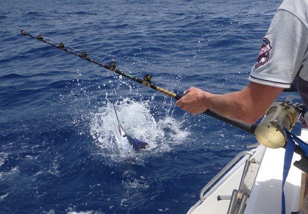 Spearfish Cavalier & Blue Marlin Sport Fishing Gran Canaria