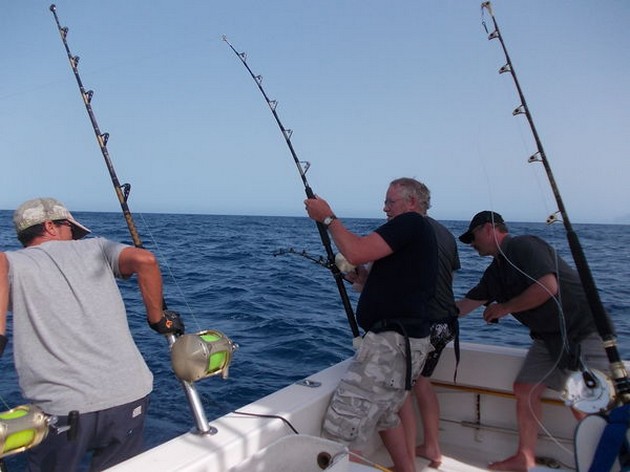 Hooked up Cavalier & Blue Marlin Sport Fishing Gran Canaria