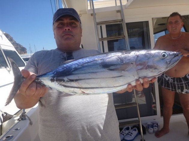 Skipjack Tuna Cavalier & Blue Marlin Sport Fishing Gran Canaria