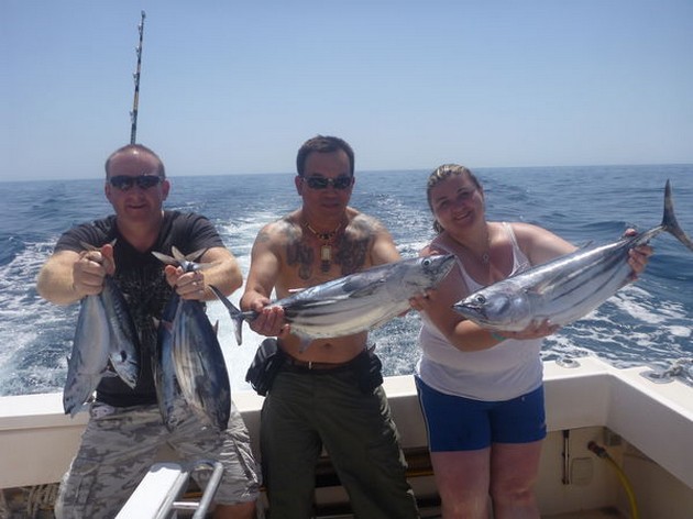 Skipjack tonfisk - Cavalier & Blue Marlin Sport Fishing Gran Canaria