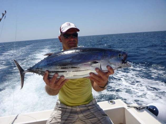 Skipjack Tuna Cavalier & Blue Marlin Sport Fishing Gran Canaria
