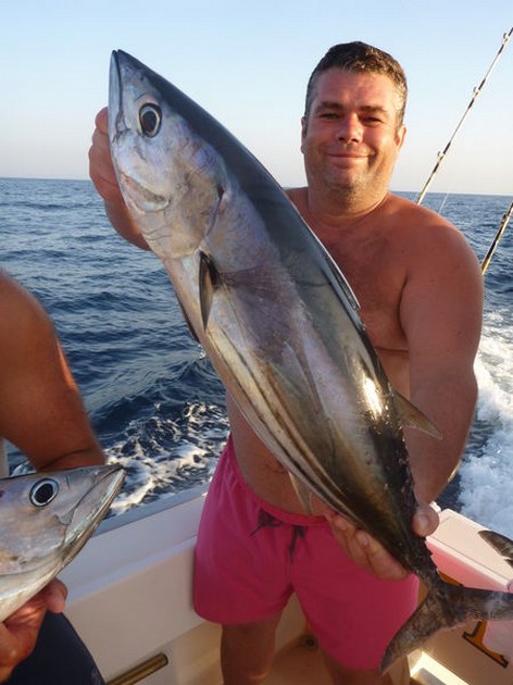 Skipjack Tuna Cavalier & Blue Marlin Sport Fishing Gran Canaria
