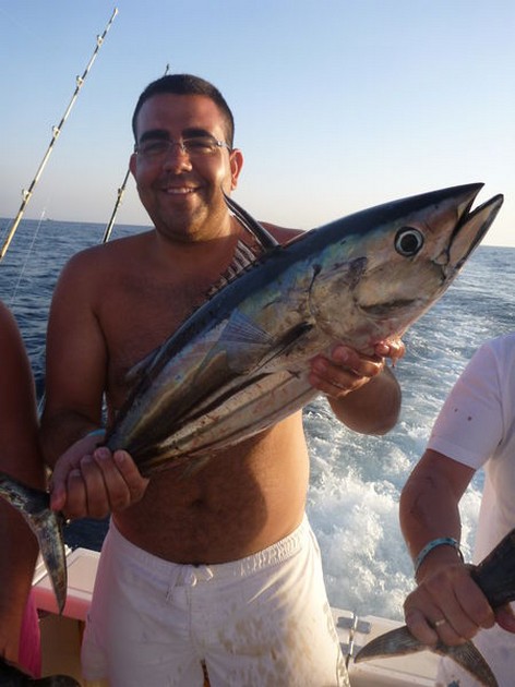 Skipjack Tuna Cavalier & Blue Marlin Sport Fishing Gran Canaria