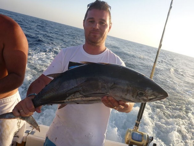 Skipjack Tuna Cavalier & Blue Marlin Sport Fishing Gran Canaria