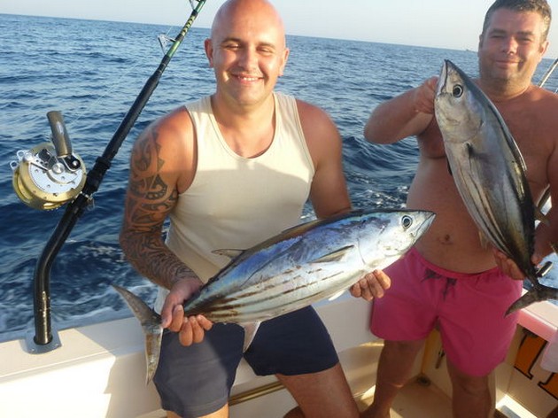 Skipjack Tuna Cavalier & Blue Marlin Sport Fishing Gran Canaria