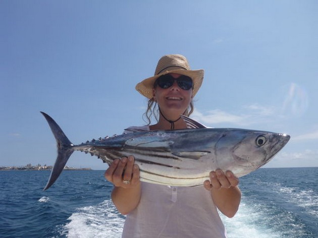 Skipjack Tuna Cavalier & Blue Marlin Sport Fishing Gran Canaria
