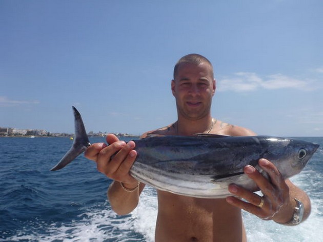 Skipjack Tuna Cavalier & Blue Marlin Sport Fishing Gran Canaria
