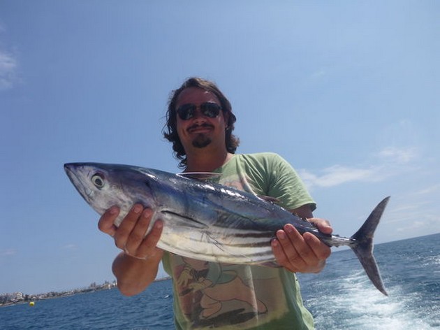 Skipjack Tuna Cavalier & Blue Marlin Sport Fishing Gran Canaria