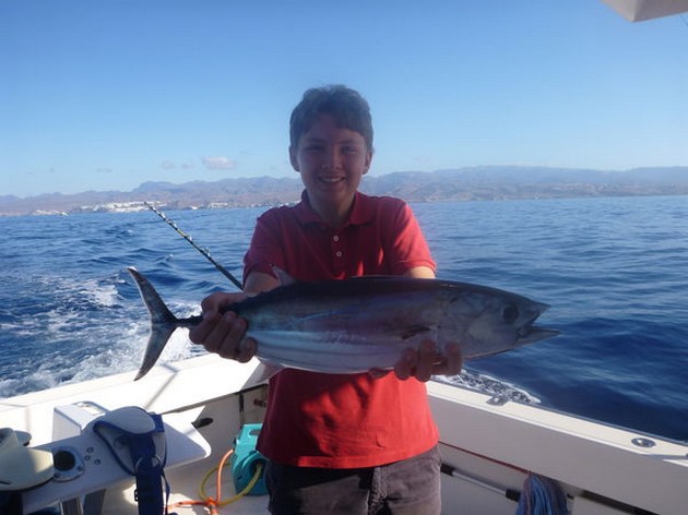 Skipjack Tuna Cavalier & Blue Marlin Sport Fishing Gran Canaria