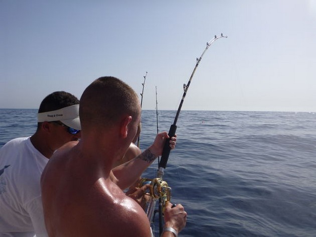 hooked up Cavalier & Blue Marlin Sport Fishing Gran Canaria