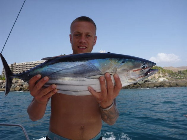 Skipjack Tuna Cavalier & Blue Marlin Sport Fishing Gran Canaria