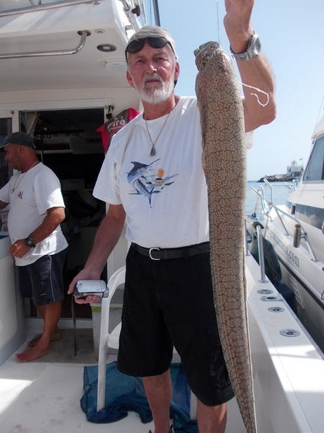 Moray eel Cavalier & Blue Marlin Sport Fishing Gran Canaria