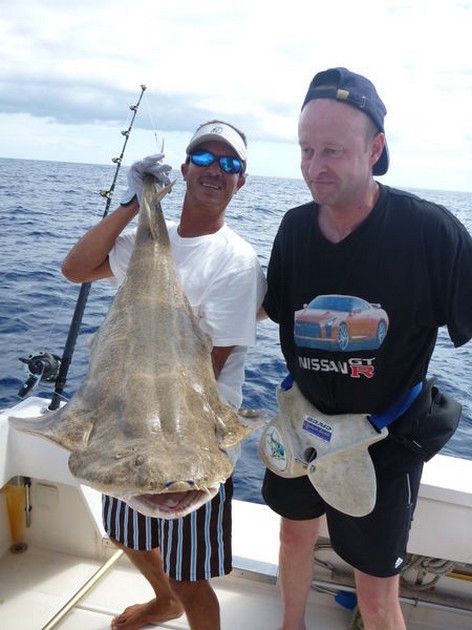13/10 Angel shark Cavalier & Blue Marlin Sport Fishing Gran Canaria