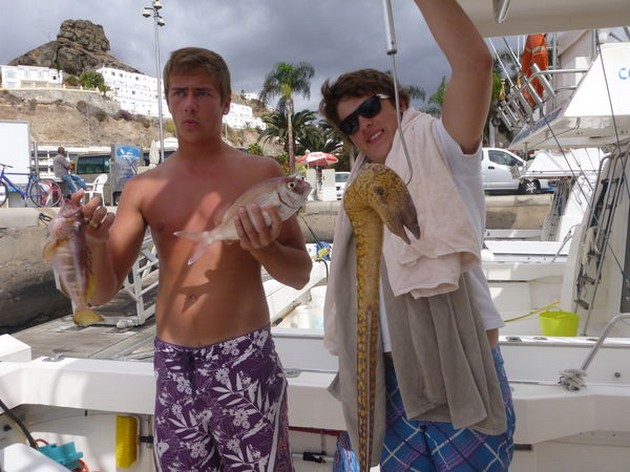 Moray Eel Cavalier & Blue Marlin Sport Fishing Gran Canaria