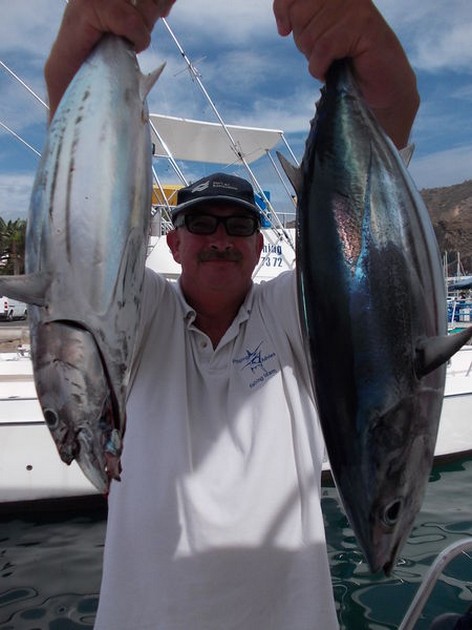 Skipjack Tuna's Cavalier & Blue Marlin Sport Fishing Gran Canaria