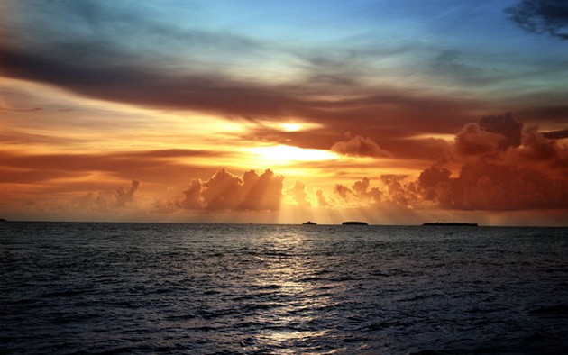 Wahoo & Albacores Cavalier & Blue Marlin Sport Fishing Gran Canaria