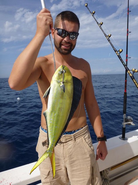 Dorado Cavalier & Blue Marlin Sport Fishing Gran Canaria