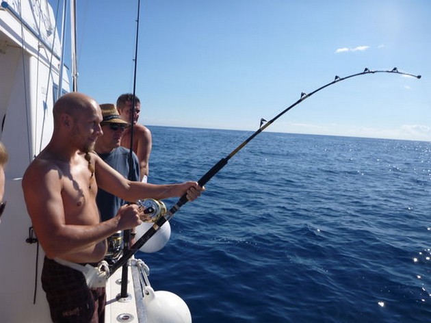 Hooked Up Cavalier & Blue Marlin Sport Fishing Gran Canaria