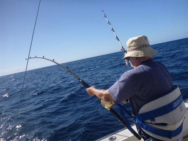 Hooked Up Cavalier & Blue Marlin Sport Fishing Gran Canaria