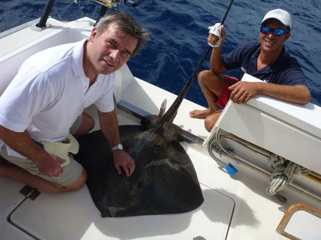 7/11 Common Stingray Cavalier & Blue Marlin Sport Fishing Gran Canaria