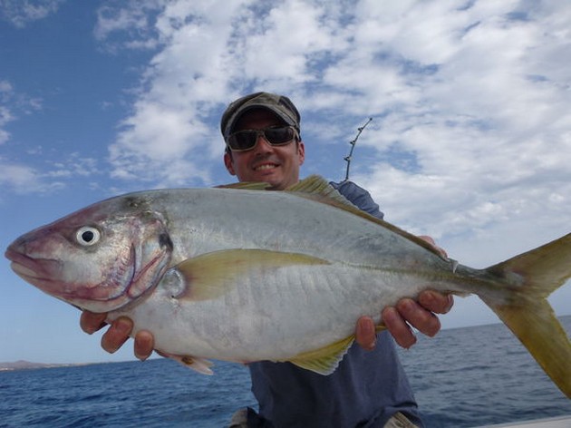 8/11 Yellowtail Cavalier & Blue Marlin Sport Fishing Gran Canaria