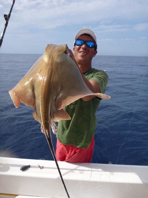 12/11 Eagle ray Cavalier & Blue Marlin Sport Fishing Gran Canaria