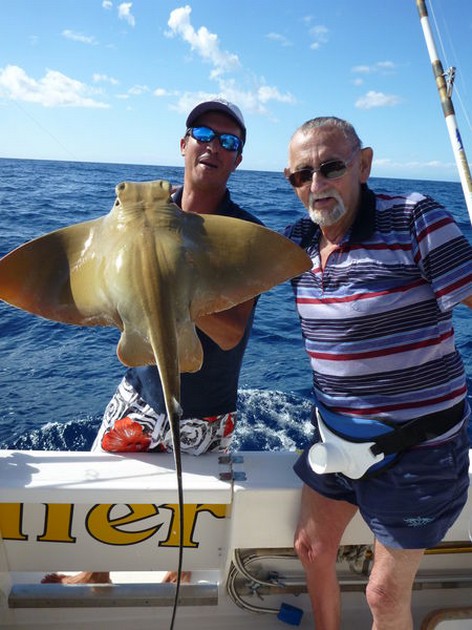 14/11 Eagle ray Cavalier & Blue Marlin Sport Fishing Gran Canaria