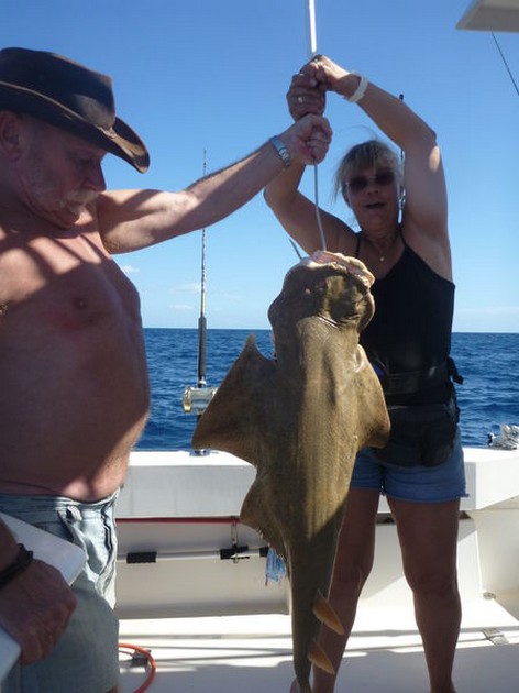 16/11 Angel Shark Cavalier & Blue Marlin Sport Fishing Gran Canaria
