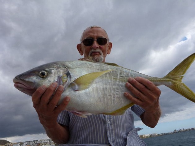 19/11 Yellow tail Cavalier & Blue Marlin Sport Fishing Gran Canaria