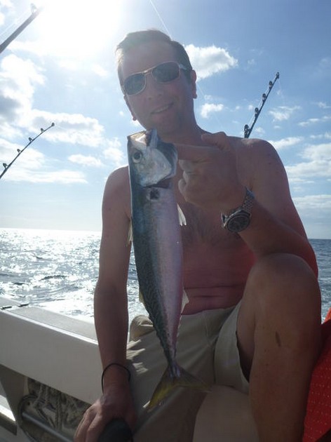 Cavalier Cavalier & Blue Marlin Sport Fishing Gran Canaria