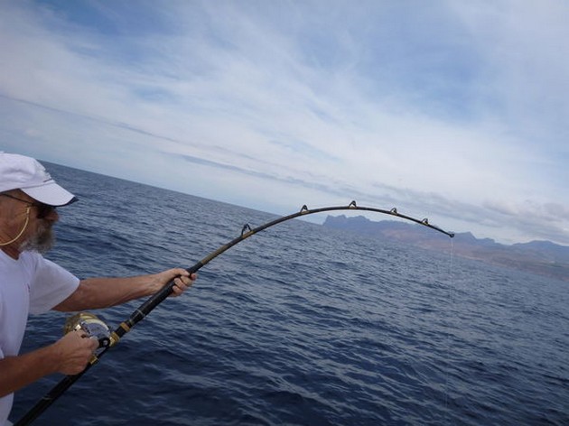 Hooked Up Cavalier & Blue Marlin Sport Fishing Gran Canaria