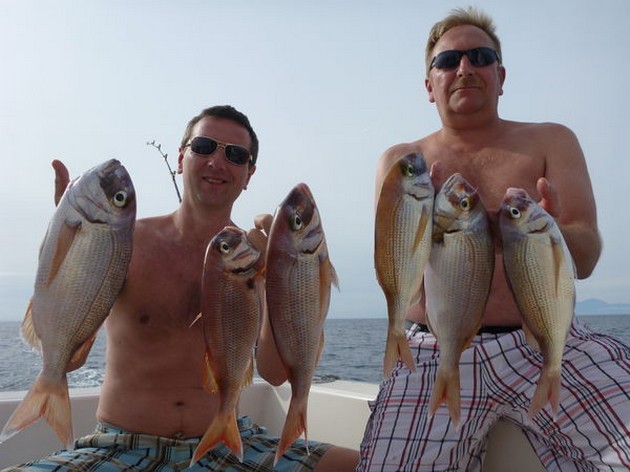 RÖDA SNAPPARE Idag har vi fiskat på revet och Cavalier & Blue Marlin Sport Fishing Gran Canaria